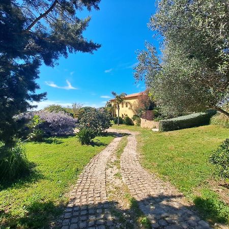 Rez De Jardin Villa Presqu'Ile De Giens Hyères Exteriér fotografie