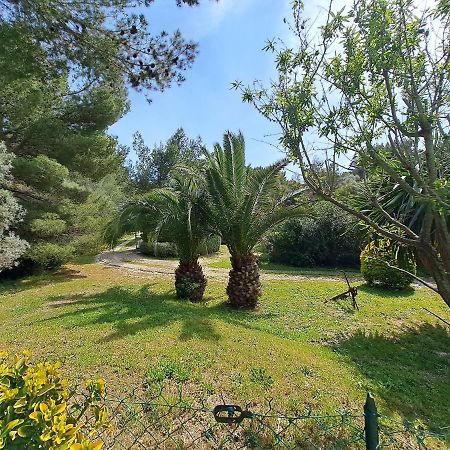 Rez De Jardin Villa Presqu'Ile De Giens Hyères Exteriér fotografie