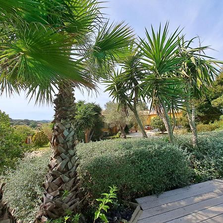 Rez De Jardin Villa Presqu'Ile De Giens Hyères Exteriér fotografie